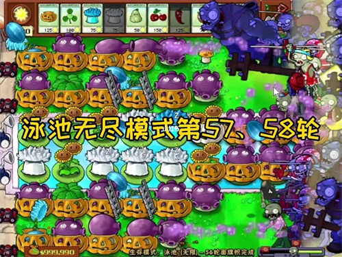 植物大战僵尸无尽版