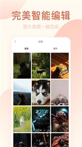 激甜相機(jī)截圖