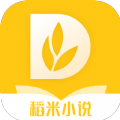 稻米小說(shuō)