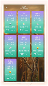 知呀天氣截圖