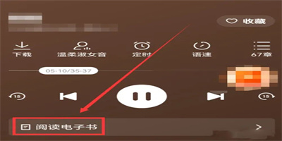 番茄暢聽怎么開啟文字同步