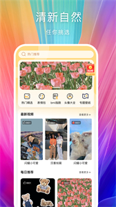 芯夢手機壁紙多多截圖