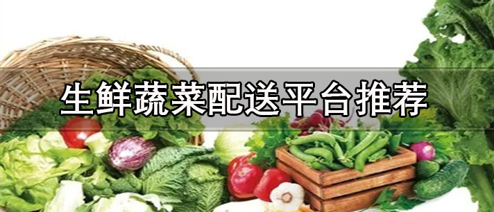 生鲜蔬菜配送app哪个好-便宜正规的生鲜蔬菜配送平台推荐