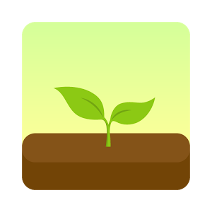 forest專注森林修改版
