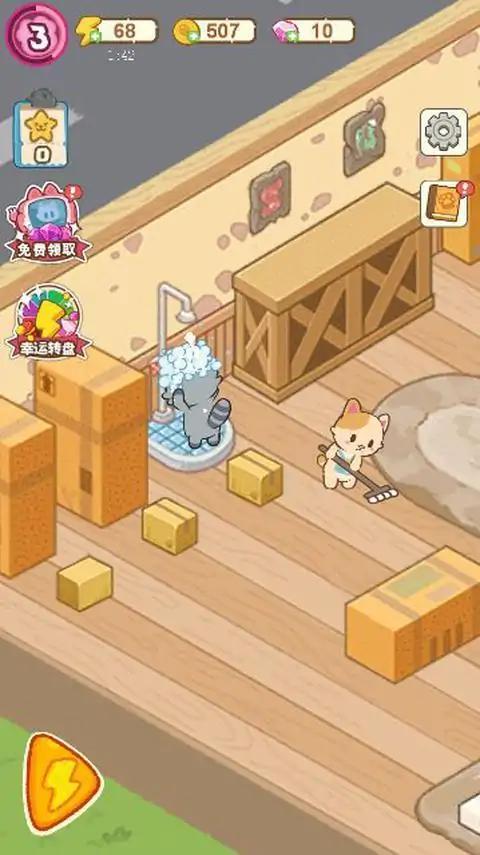 貓咪澡堂