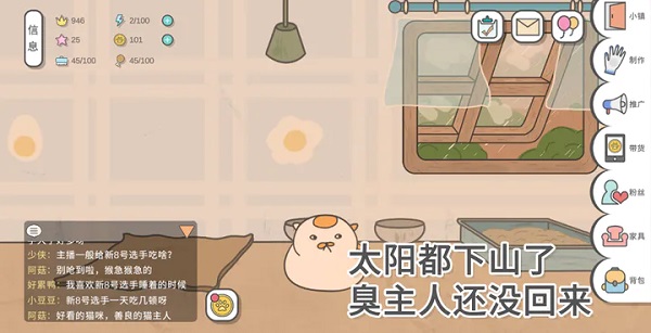 主播和猫的故事截图