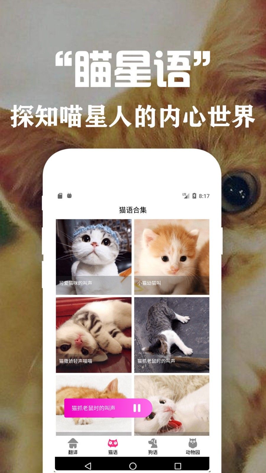 狗語翻譯交流器