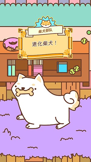 柴犬部隊(duì)