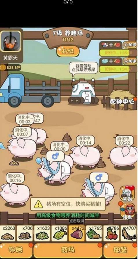 養(yǎng)豬大亨
