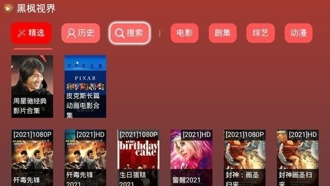 黑楓視界TV版