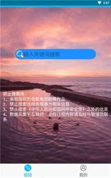 磁力兔子搜索引擎 漢化版截圖