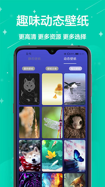 主題君軟件截圖