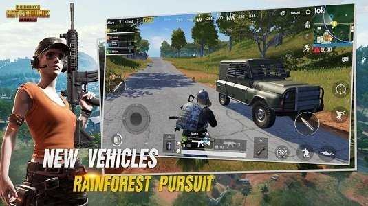 PUBG國際服透視輔助V4.0截圖