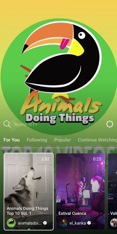 instagram特效相机安装包