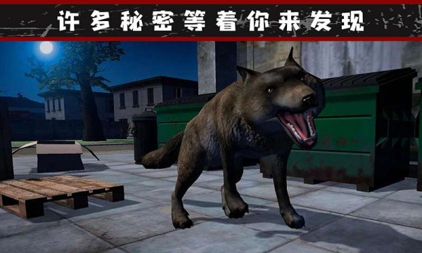 我的流浪生涯游戲截圖