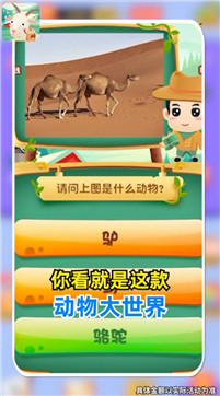 動物大世界游戲
