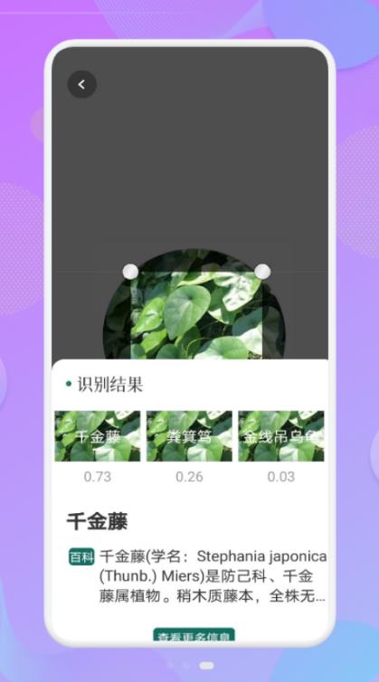 拍照識(shí)物精靈截圖