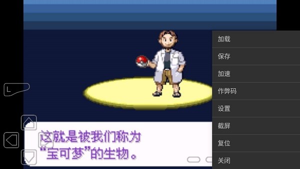 口袋妖怪皓日苍穹截图2