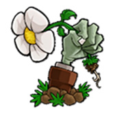 植物大战僵尸QV