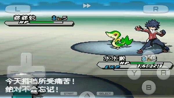 口袋妖怪我的迷之规则