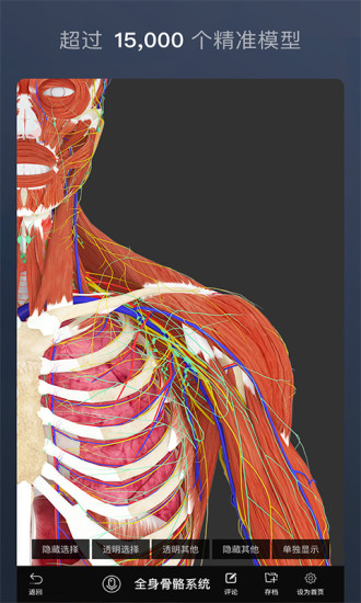 維薩里3D解剖