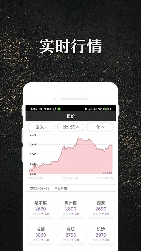 玉米寶