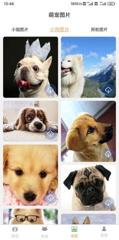 云宇貓狗翻譯 1.6.0