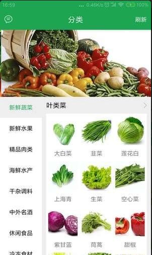 生鮮鴿
