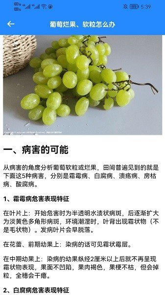 嗨老板開個(gè)店手機(jī)版