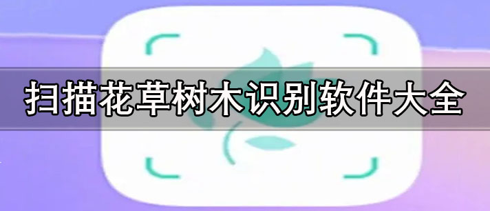 掃一掃識(shí)別花草樹(shù)木的軟件哪個(gè)好-免費(fèi)掃描花草樹(shù)木識(shí)別軟件大全