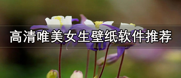 女生專用手機(jī)高清壁紙軟件大全-高清唯美女生壁紙軟件推薦
