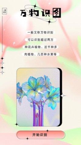 萬(wàn)物識(shí)圖截圖
