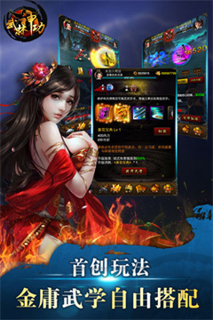 武林神功手游小米版
