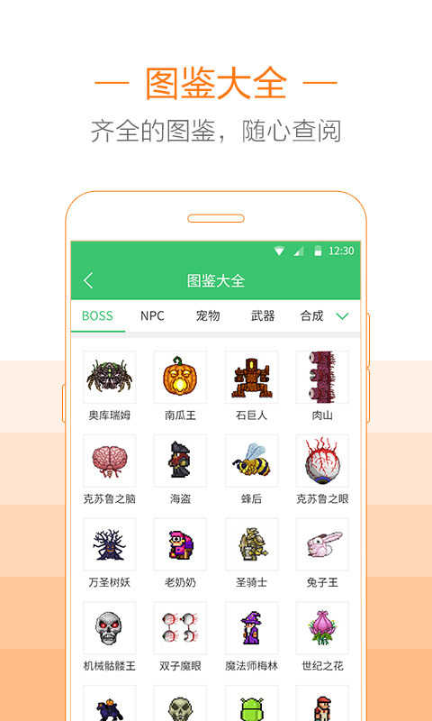 泰拉瑞亞存檔編輯器