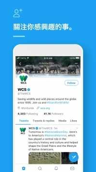 twitter官方版下載截圖