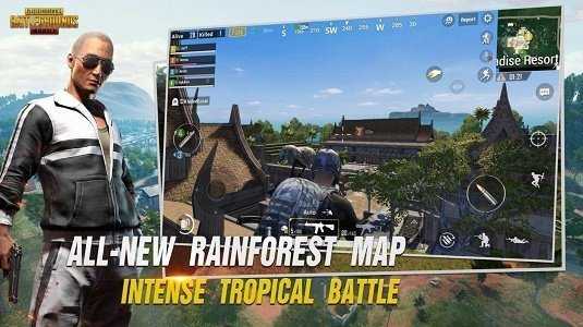 PUBG國際服透視輔助V4.0截圖