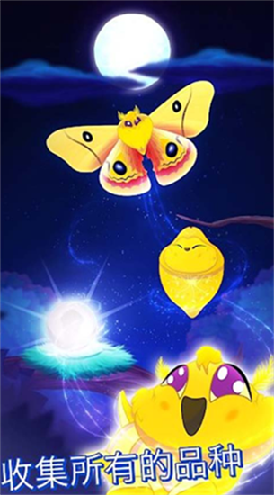 彩翼之星夜中文版