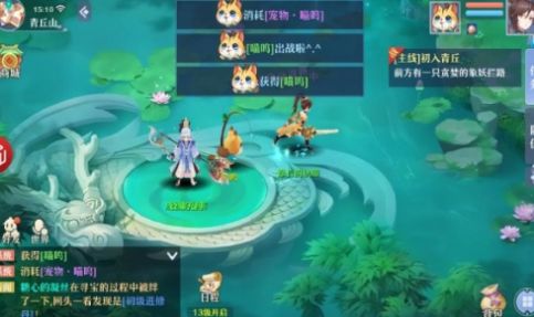 夢(mèng)幻Q仙靈截圖