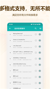 格式大師老版本截圖
