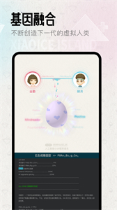 小冰島app