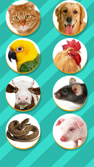 動物翻譯器免費版截圖