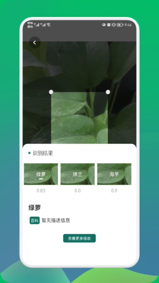 小園丁追劇app