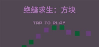 絕縫求生方塊截圖