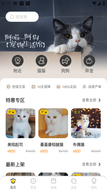 買只寵物官方版截圖