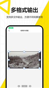 布丁掃描手機(jī)版截圖