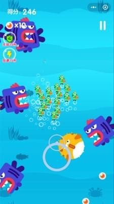 小青魚旅行