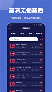 音頻格式轉(zhuǎn)換器安卓版截圖