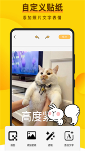 趣味表情包手機(jī)版截圖