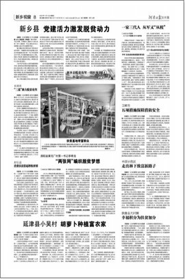 河南日报农村电子版