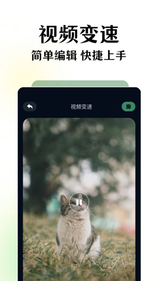 碧海劇場(chǎng)截圖